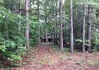 2014-08-01 10.16.27